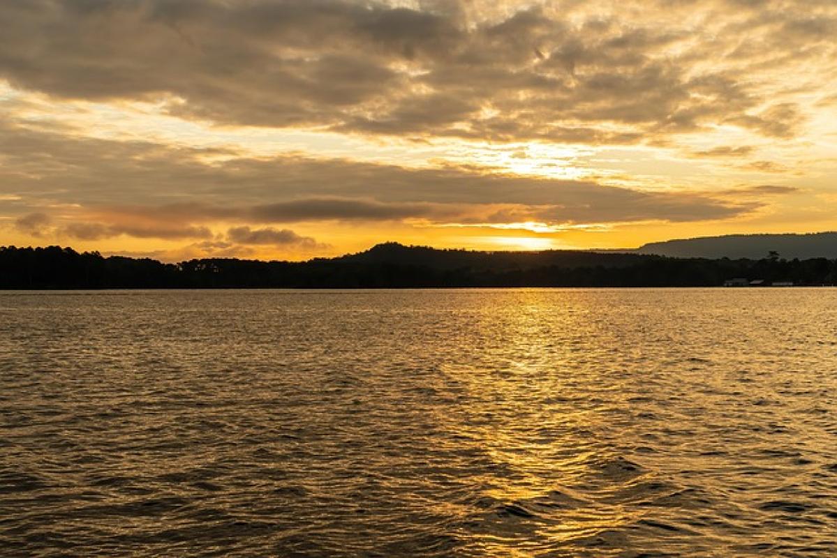 الاباما 